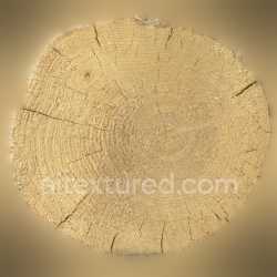 seamless Wood Tree Seamless Natural Grain Texture Rough Organic Brown Circle texture 8k free download PBR