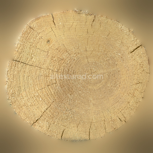 Wood Tree Seamless Natural Grain Texture Rough Organic Brown Circle