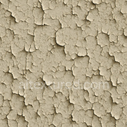 seamless Detailed Peeling Paint Texture Seamless 1024X1024 texture 1024x1024 free download PBR
