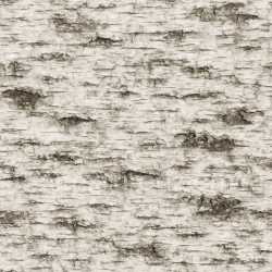 seamless Rough Birch Bark Texture Seamless texture 8k free download PBR