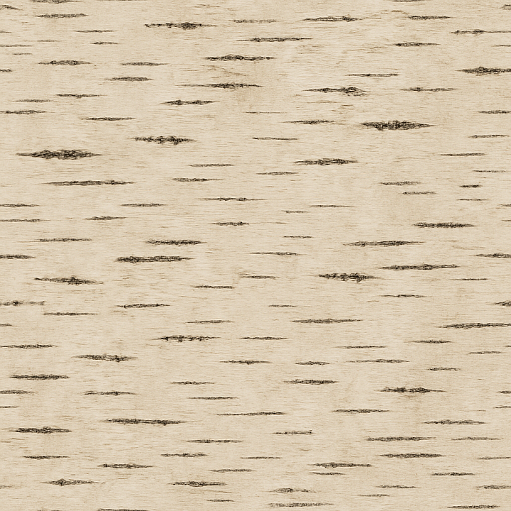 Natural Birch Wood seamless PBR texture preview