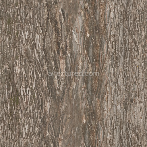 Seamless Bark Willow 02 by Texture Haven – PBR 3D Texture (8K ready)