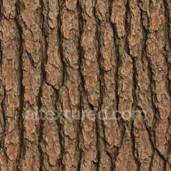 seamless Rough Pine Bark Texture Seamless texture 8k free download PBR