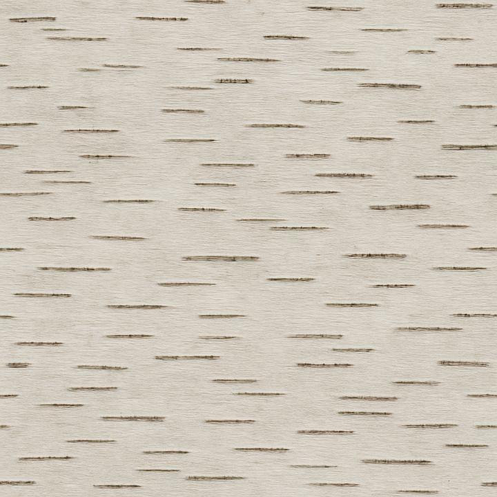 Matte Birch Bark seamless PBR texture preview