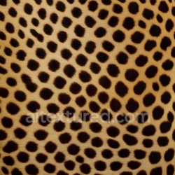 seamless Seamless 3D PBR Leopard Print Fur Texture with Black Spots on Golden Tan Base texture 8k free download PBR