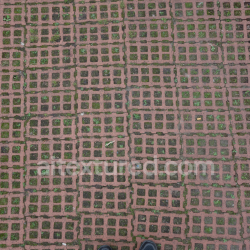 seamless PBR Ground Texture Featuring Red Brick Grid Pattern with Grass Growth texture 8k free download PBR