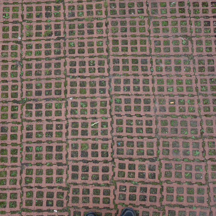 Ground Featuring Red Brick Grid Pattern with Grass Growth seamless PBR texture preview