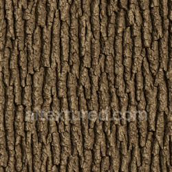 seamless Patterned Oak Bark Texture Seamless 1024X1024 texture 1024x1024 free download PBR