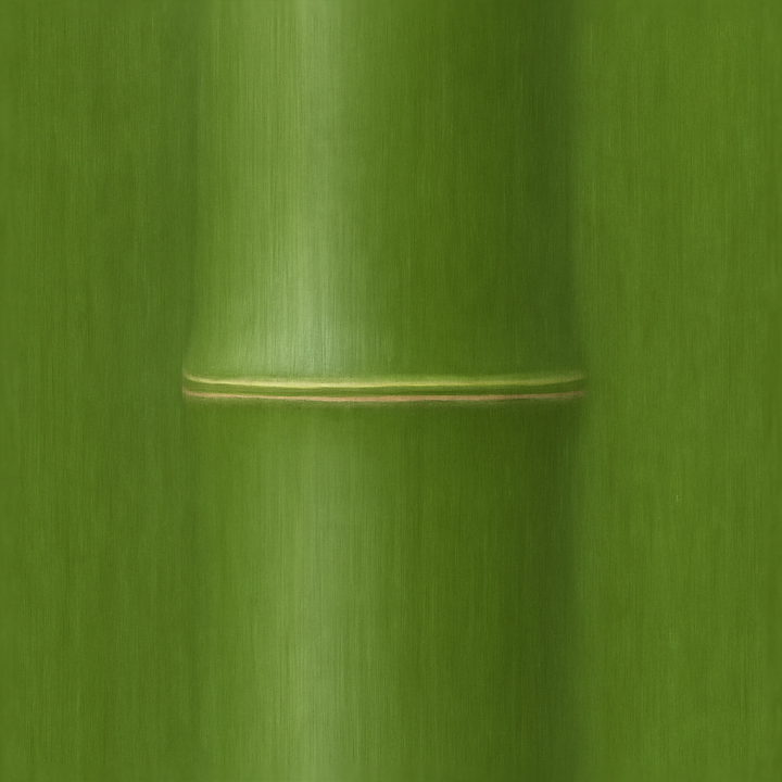 Green Bamboo Stalk With Bamboo Nodes And Natural Bamboo Grain Surface seamless PBR texture preview