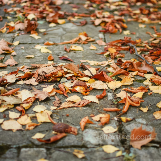 Autumn Fallen Leaves on Pavement Ground Texture for PBR Projects Ground surface texture preview