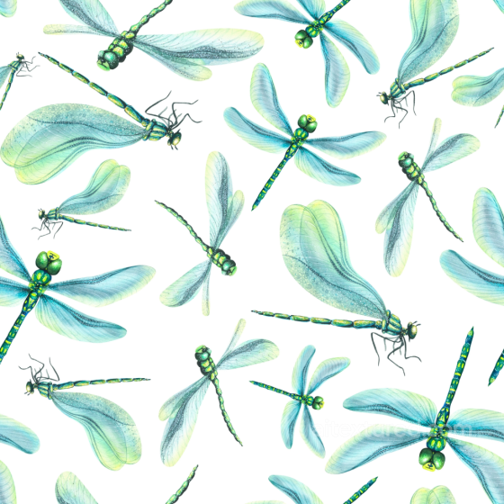 Featuring Detailed Blue-Green Dragonflies on White Background Dragonfly texture preview