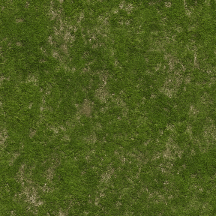 Weathered Green Moss seamless PBR texture preview