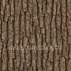 seamless Worn Oak Bark Texture Seamless texture 8k free download PBR