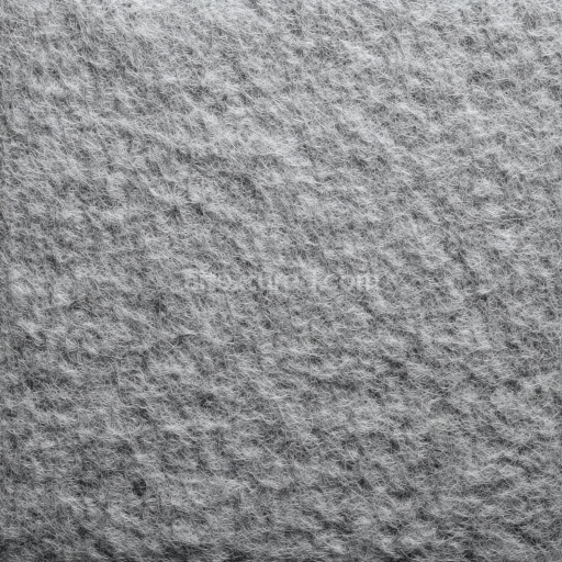 Seamless 3D Felt PBR Texture Featuring Dense Soft Gray Wool Fibers