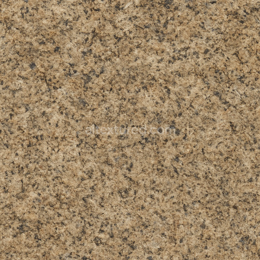 Ancient Granite Seamless Texture