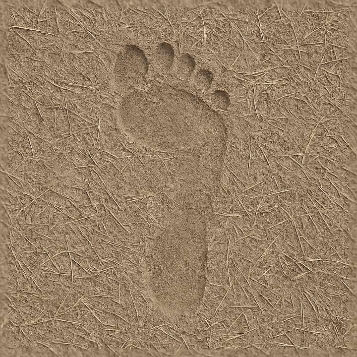 Pine Needle Prints On Rough Surface With Footprint Contrast Wood seamless PBR texture preview