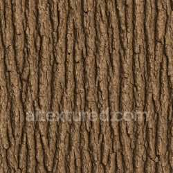seamless Smooth Oak Bark Texture Seamless texture 8k free download PBR