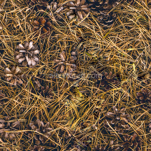 High-Quality Seamless Forest Ground Texture