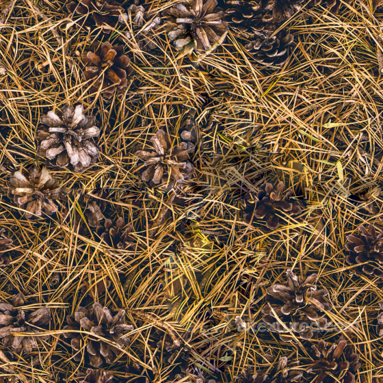 High-Quality Seamless Forest Ground Texture Ground surface texture preview