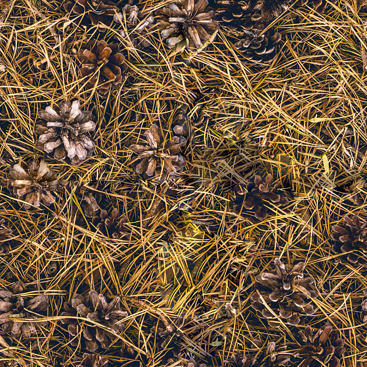 High-Quality Forest Ground seamless PBR texture preview