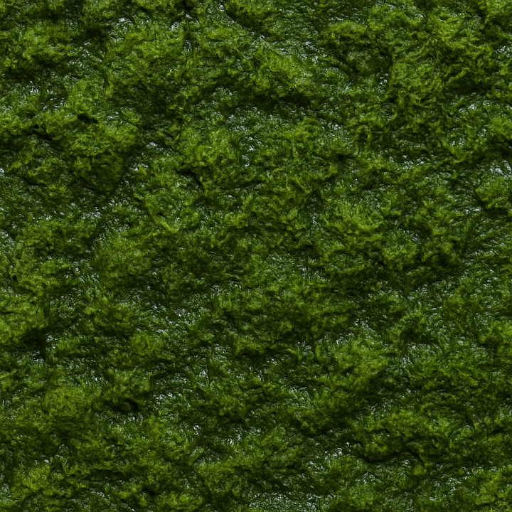 Detailed Wet Moss seamless PBR texture preview