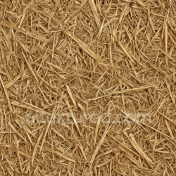 seamless Photorealistic Barn Straw Seamless Texture texture 1024x1024 free download PBR