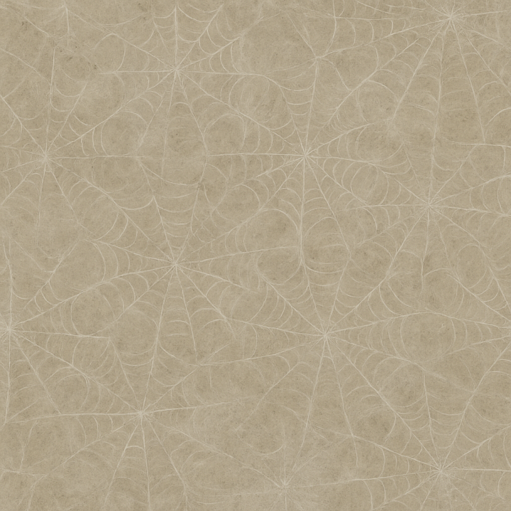 Spider Pattern With Cobweb Dust And Cobweb Strands Overlay seamless PBR texture preview