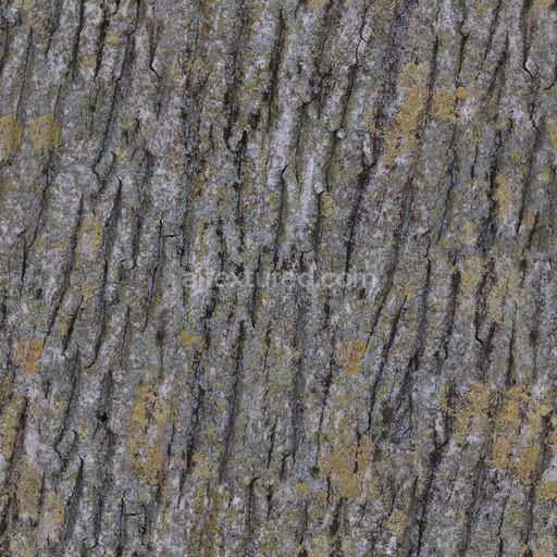Seamless Tree Bark Texture 11 by Share Textures – PBR 3D Texture (8K ready)