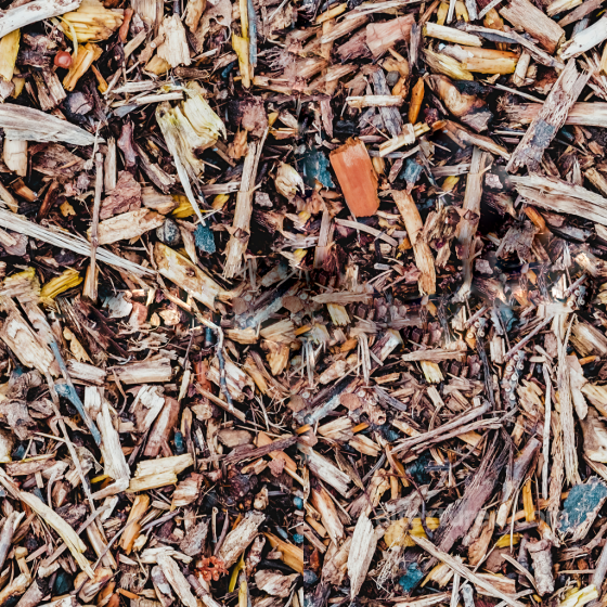 Free Seamless Forest Ground Texture Ground surface texture preview