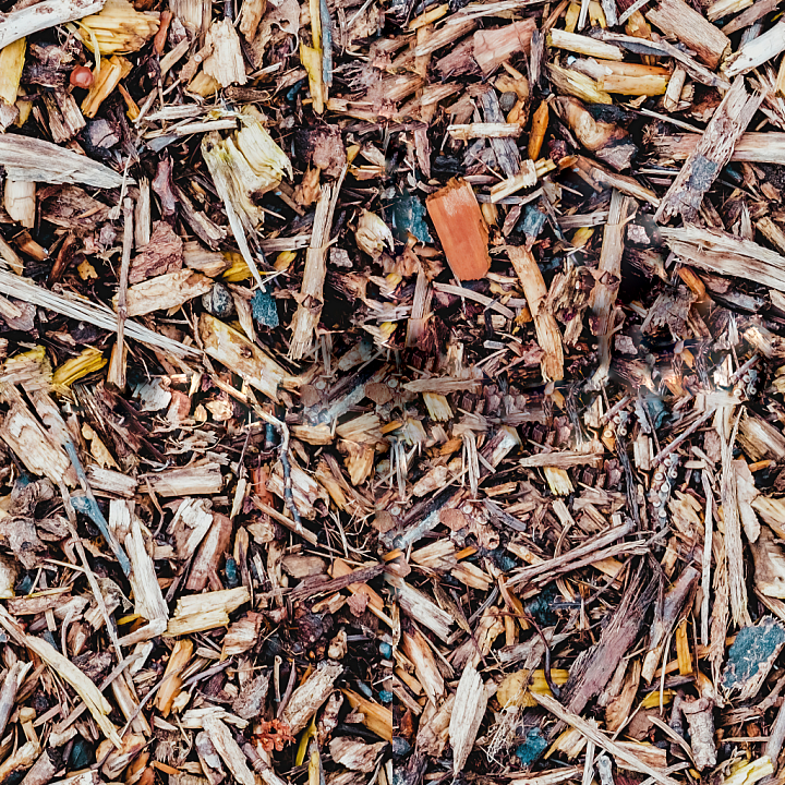 Forest Ground seamless PBR texture preview