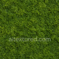 seamless Seamless Wet Moss Texture Seamless 1024X1024 texture 1024x1024 free download PBR