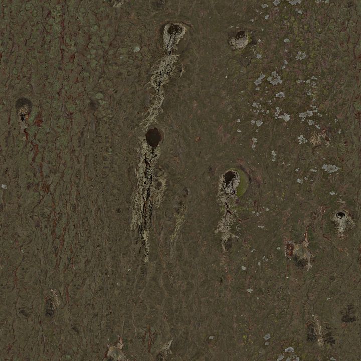 Pine Bark - Bark Tree Knotted Pine Wood seamless PBR texture preview