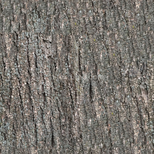 Seamless Bark 12 by Share Textures – PBR 3D Texture (8K ready)