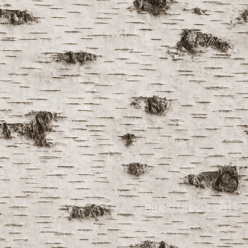 Seamless Birch Bark Seamless Texture seamless Bark PBR texture