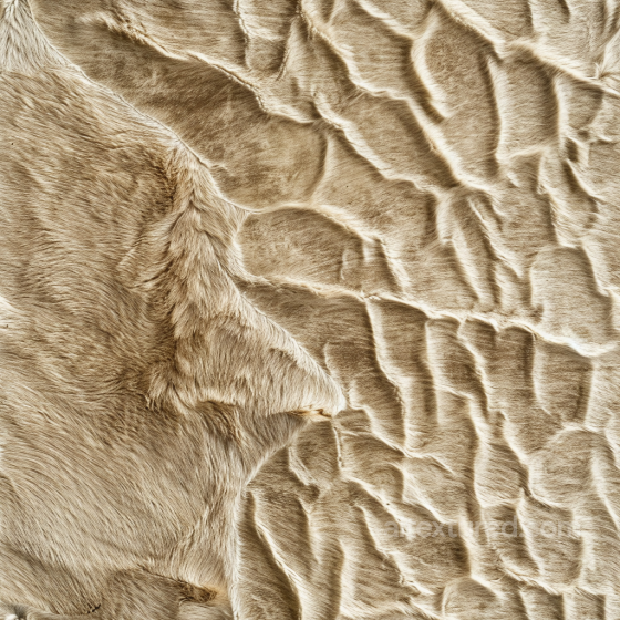 Wrinkled Beige Leather PBR Texture with Natural Fur Grain and Detailed Folds Leather texture preview