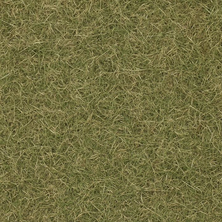 Dull Grass seamless PBR texture preview