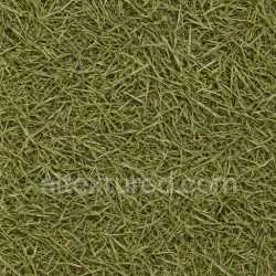 seamless Coarse Grass Seamless Texture texture 8k free download PBR