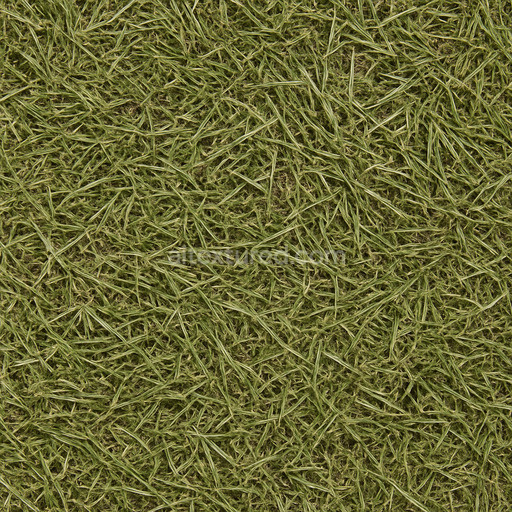 Coarse Grass Seamless Texture