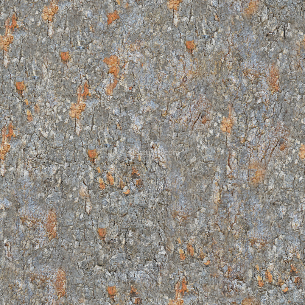 Seamless bark texture with natural details and colors