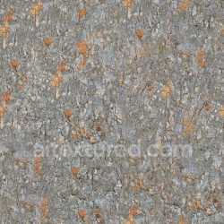 seamless Bark Tree Natural Rough Wood Organic Grainy Earthy Textured Weathered texture 8k free download PBR