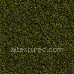 seamless Coarse Forest Moss Texture Seamless 1024X1024 texture 1024x1024 free download PBR