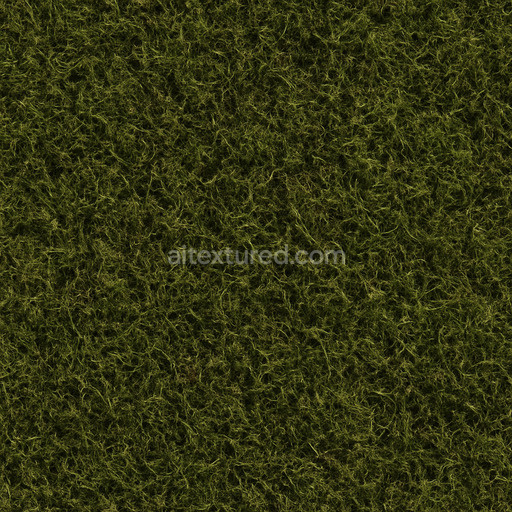 Coarse Forest Moss Texture Seamless 1024X1024