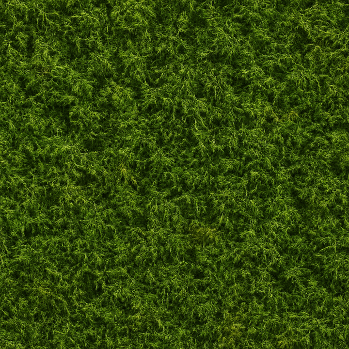 Forest Moss seamless PBR texture preview