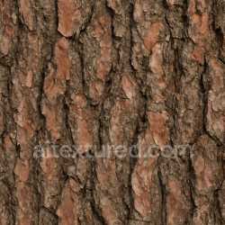 seamless Dirty Pine Bark Texture Seamless texture 8k free download PBR