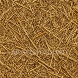 seamless Coarse Barn Straw Seamless Texture texture 1024x1024 free download PBR