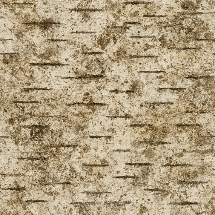 Dirty Birch Bark seamless PBR texture preview