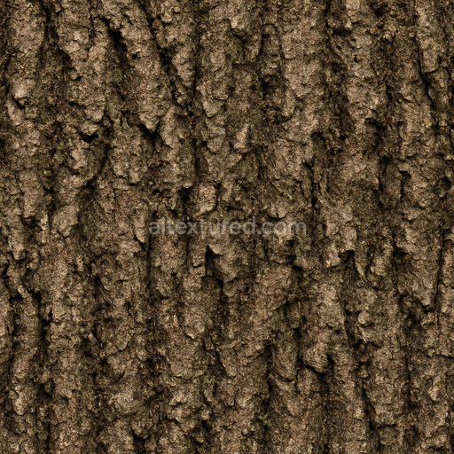Dirty Oak Bark Texture Seamless 1024X1024