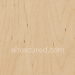 seamless Matte Birch Texture Seamless 1024X1024 texture 1024x1024 free download PBR