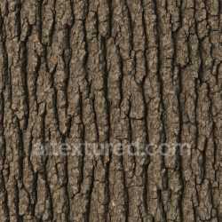 seamless Seamless Oak Bark Texture Seamless texture 8k free download PBR