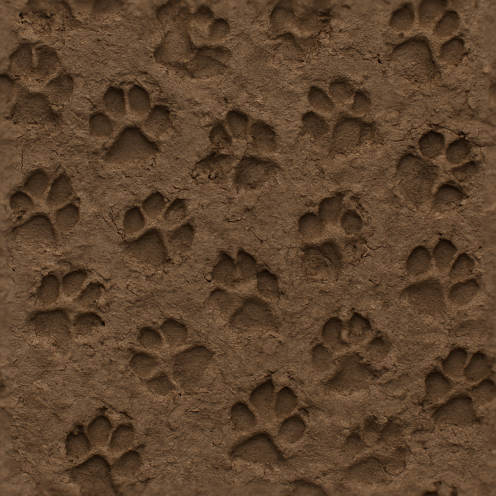 Of Dog Paw Prints On Muddy Wet Soil Surface seamless PBR texture preview